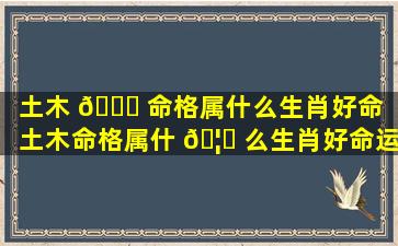 土木 🐒 命格属什么生肖好命（土木命格属什 🦁 么生肖好命运）